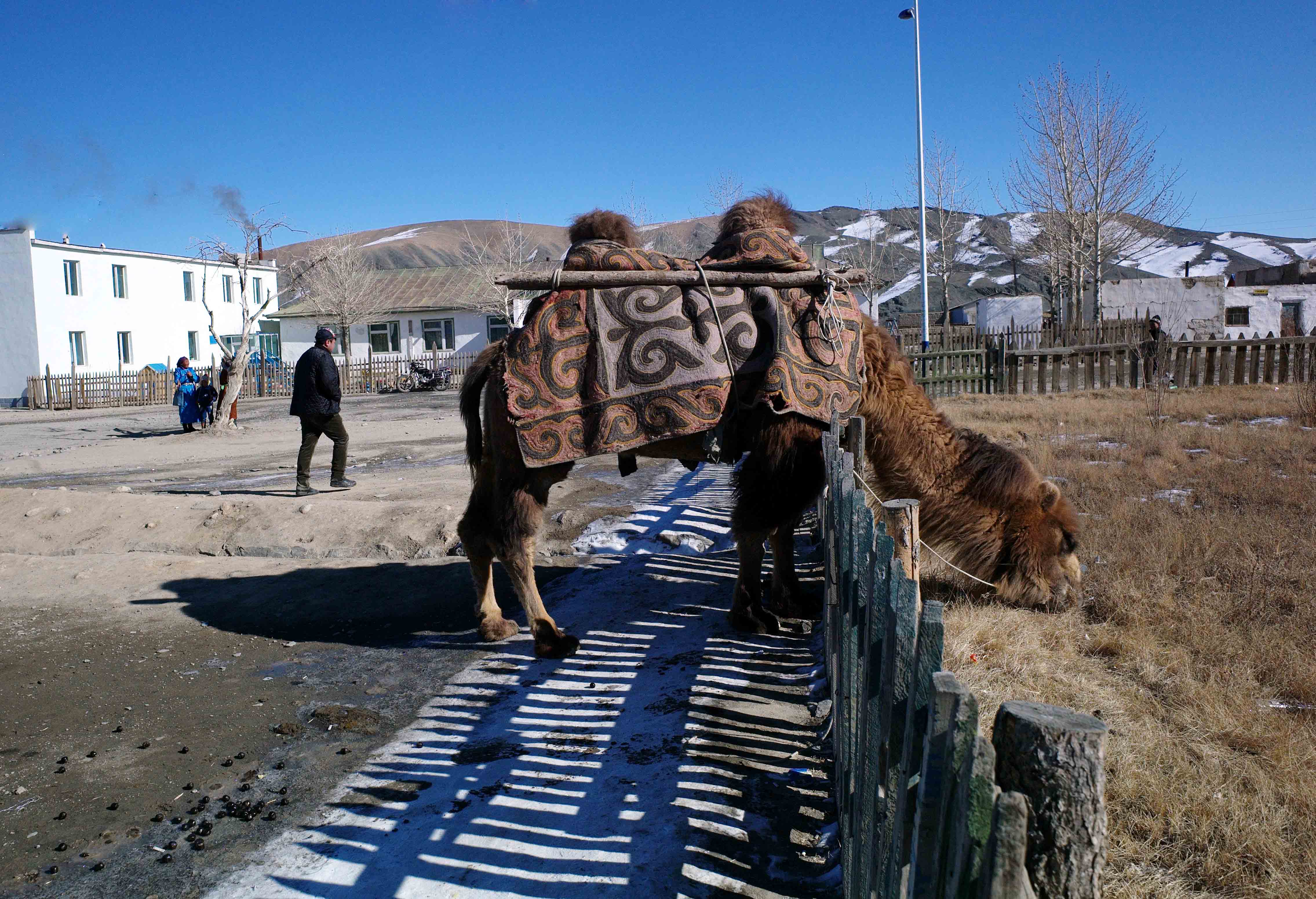 Altai village in spring